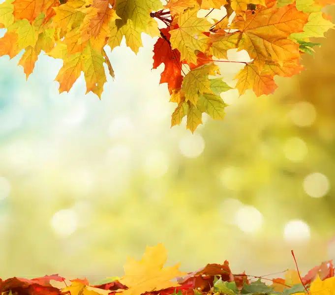 It’s Almost Fall, So Let’s Get Your Heater Tuned-Up! - Dowd HVAC
