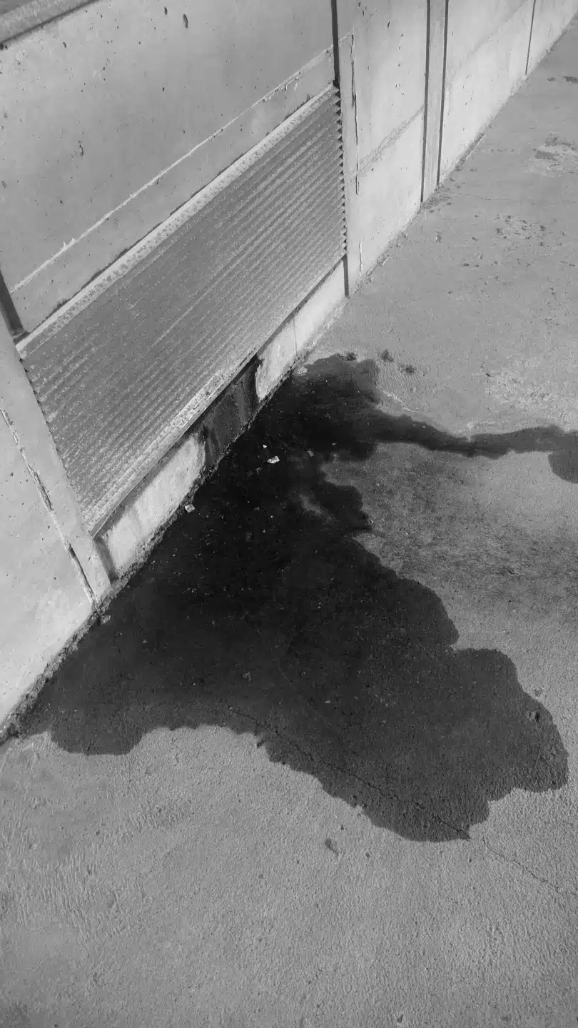 A Leaking AC Requires Professional Support